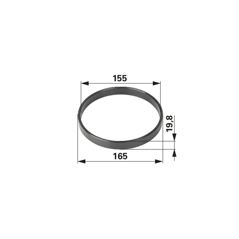 Dana Spicer - 135700411061 - Running ring