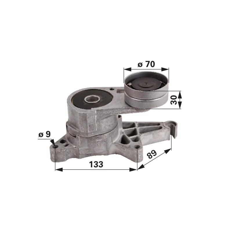 Ina - F731200040100 - Belt tensioner