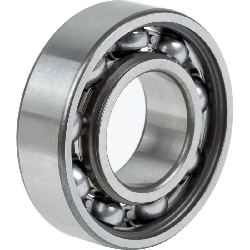 INA FAG - 6004 - Deep groove ball bearing