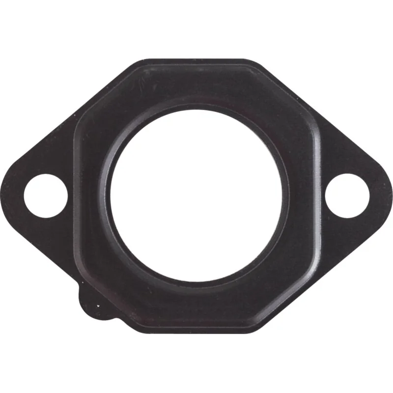 Kawasaki - 110092827 - Gasket