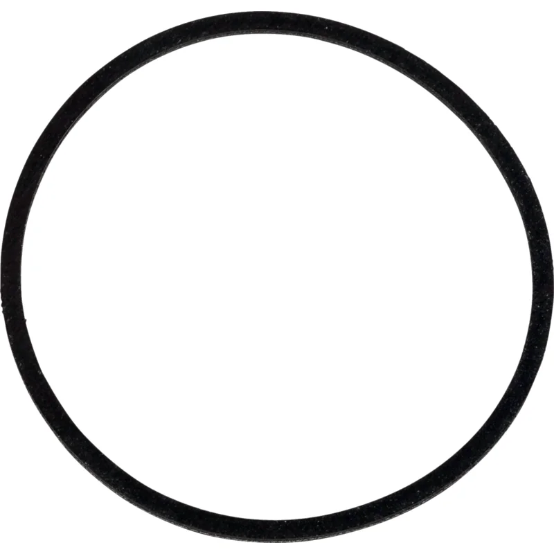 Kawasaki - 110092919 - Gasket