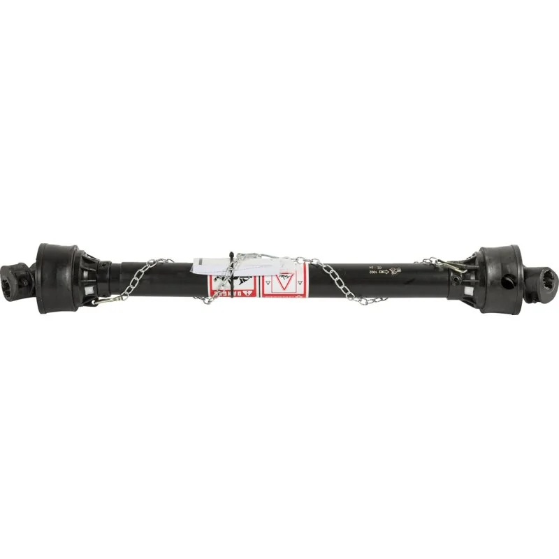La Magdalena