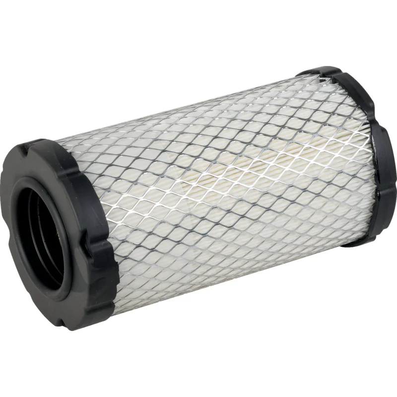 Mann - C 10 007 - Main air filter cartridge