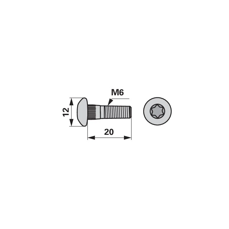 Radura - 14547.01 - Torx screw
