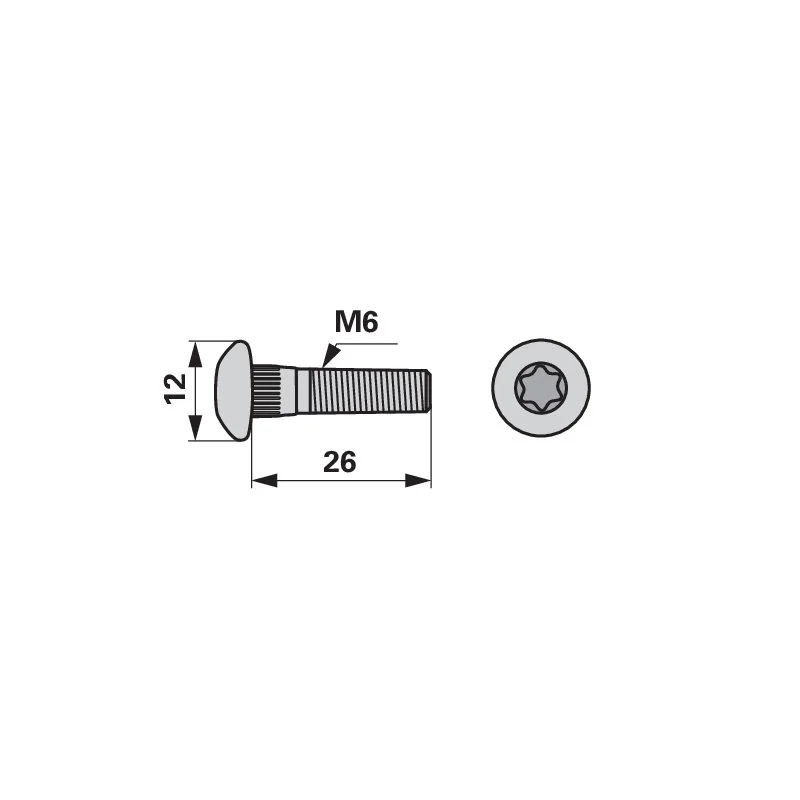 Radura - 14548 - Torx screw