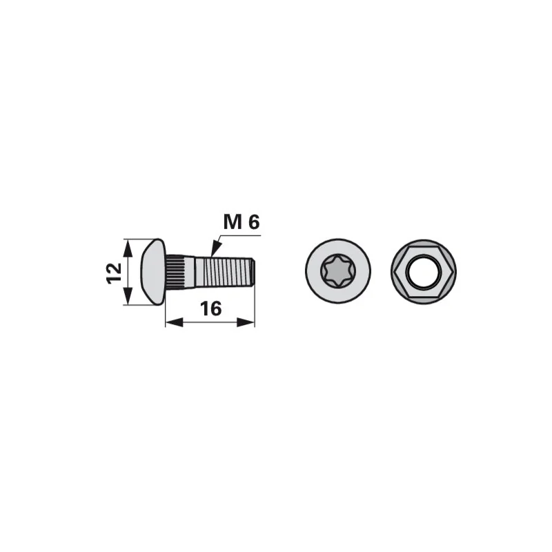 Radura - 51542.03 - Torx screw (Pack of 50)