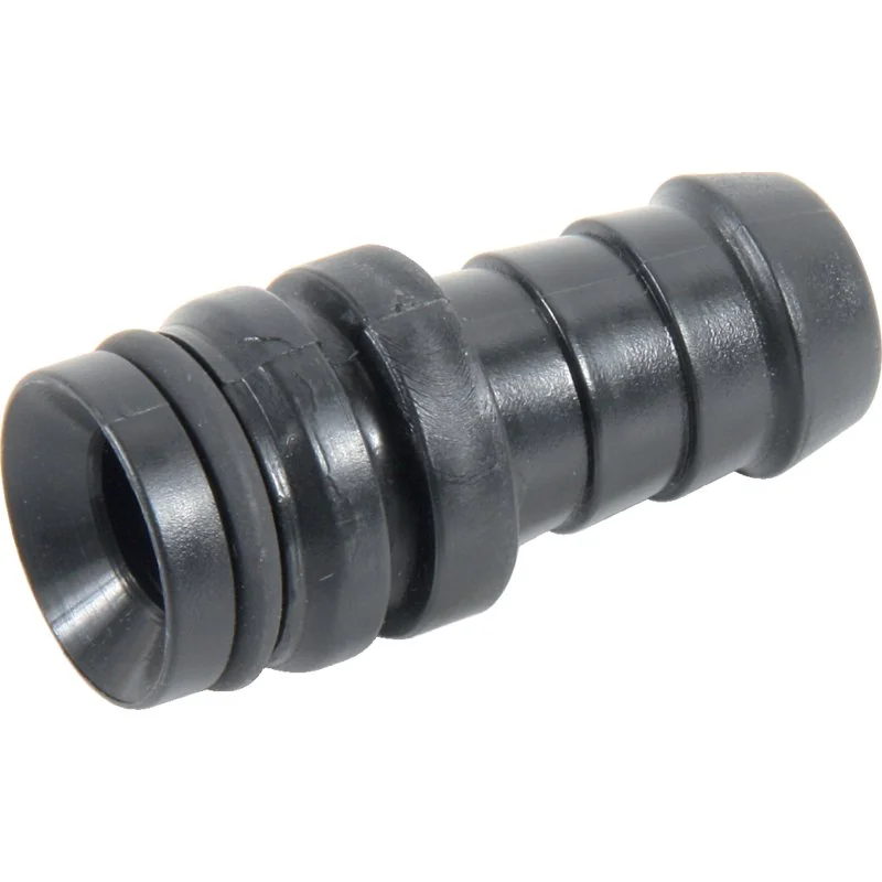 Rau