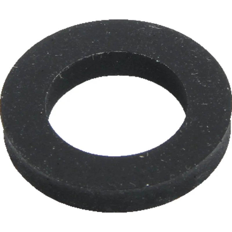 Rau - 00000499 - Gasket