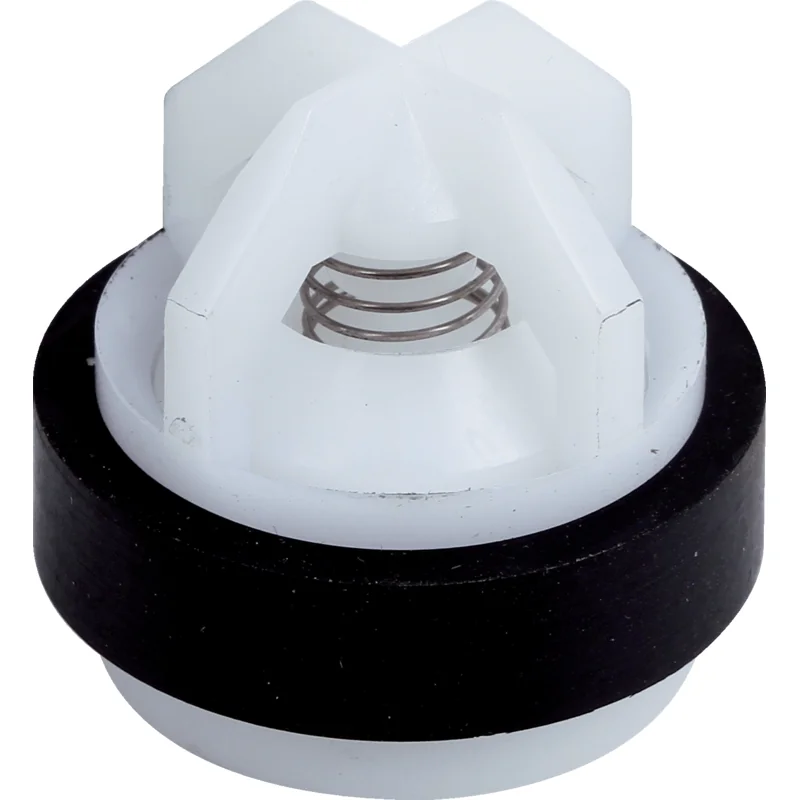 Rau - 00002629 - Valve