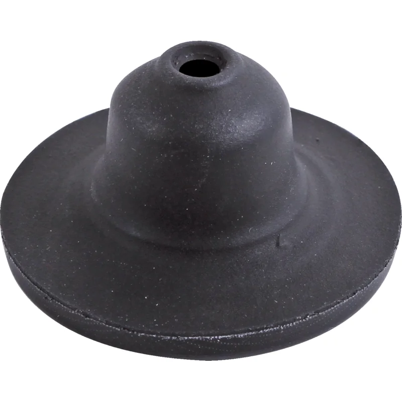 Rau - 00018785 - Membrane