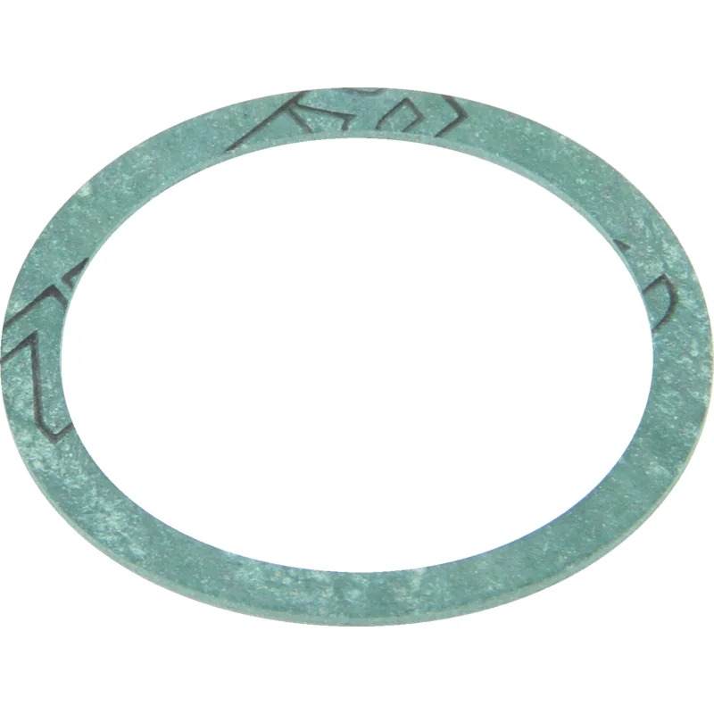 Rau - 00022169 - Gasket