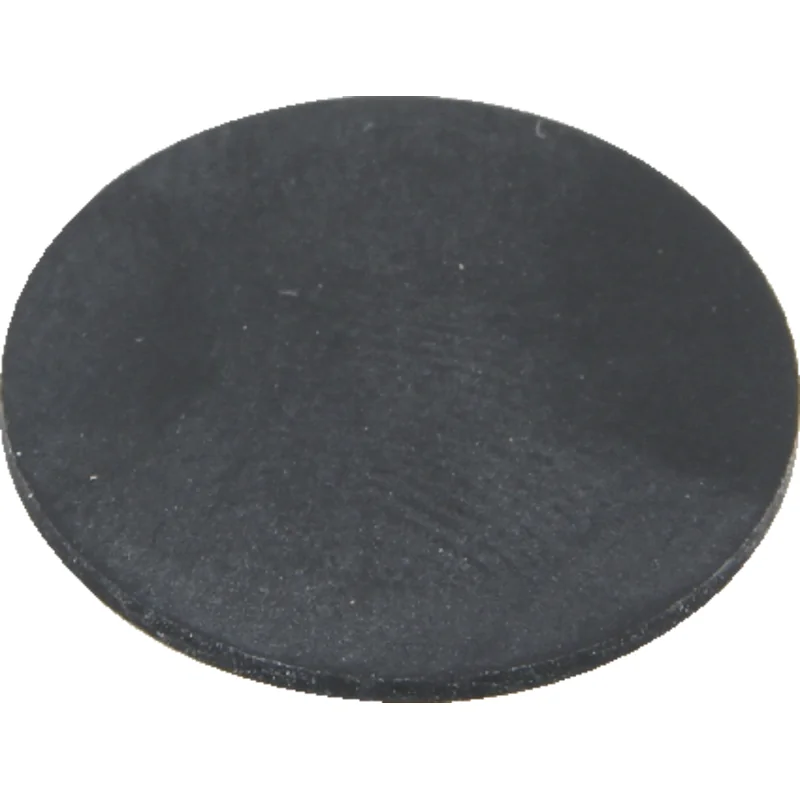 Rau - 00026847 - Membrane