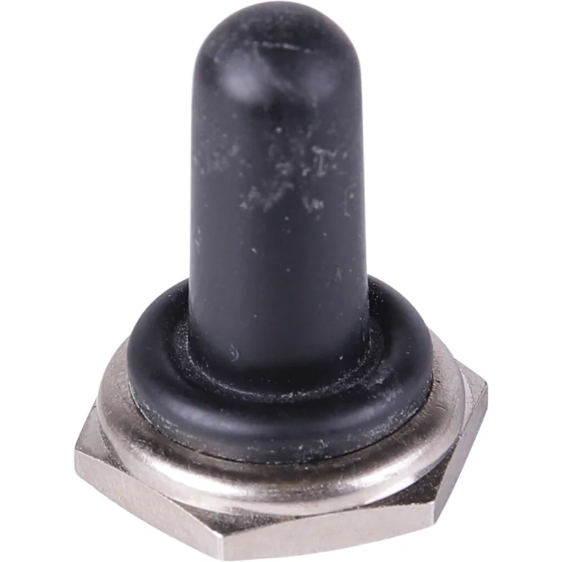 Rau - 0060573 - Cover