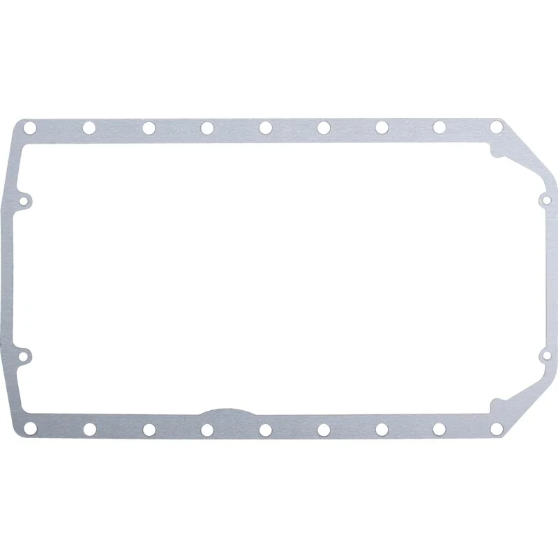 Reinz - 162000150713 - Oil pan gasket