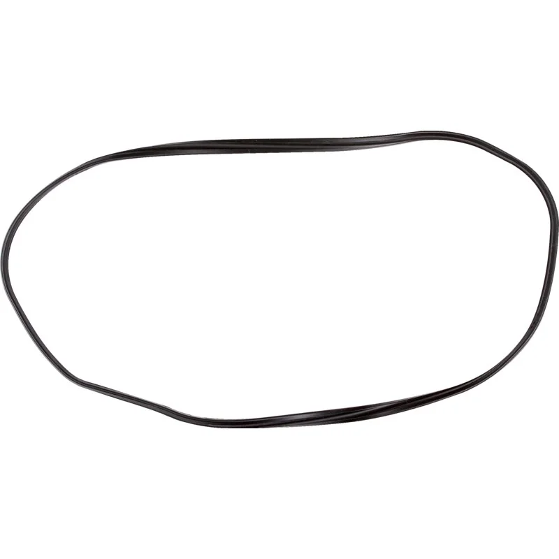 Reinz - 500301351 - Valve cover gasket