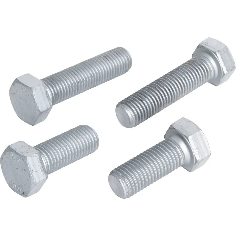 Scharmüller - 00.950.16.0 - Screw set