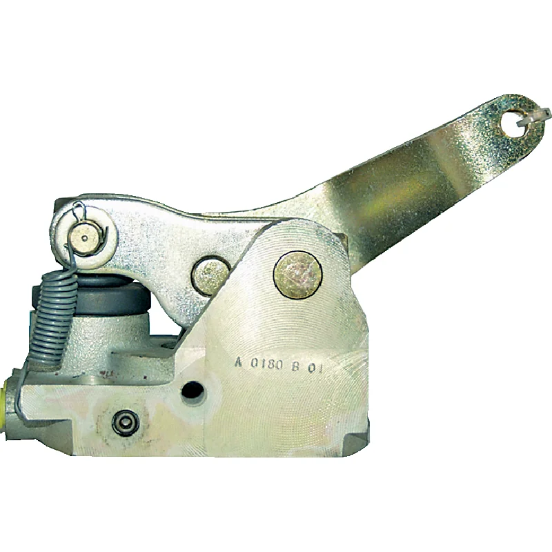 ZF