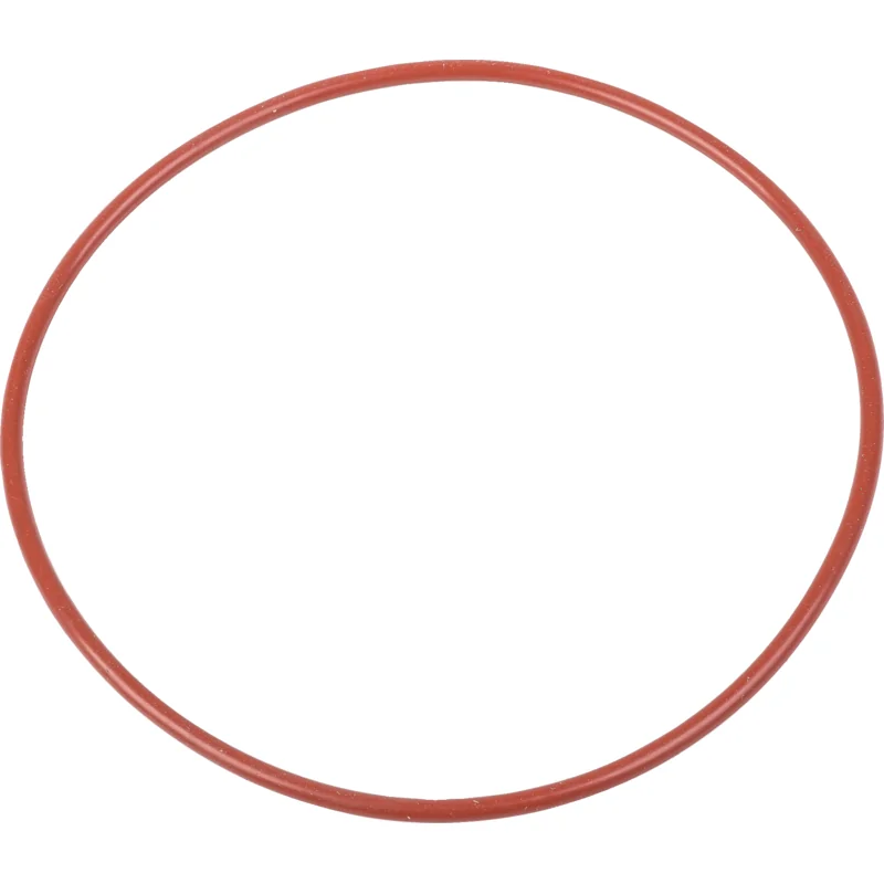 ZF - 290177 - Sealing ring