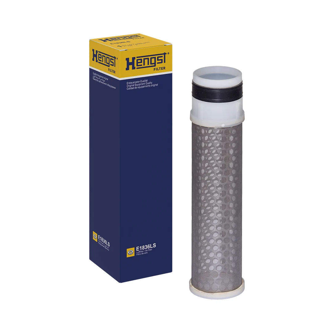 Hengst