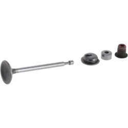 Briggs And Stratton - 590530 - Intake Valve