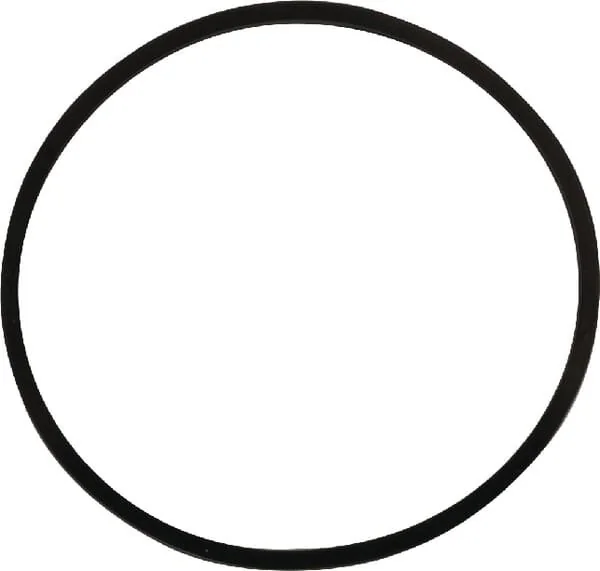 Briggs And Stratton - 798932 - Float Bowl Gasket