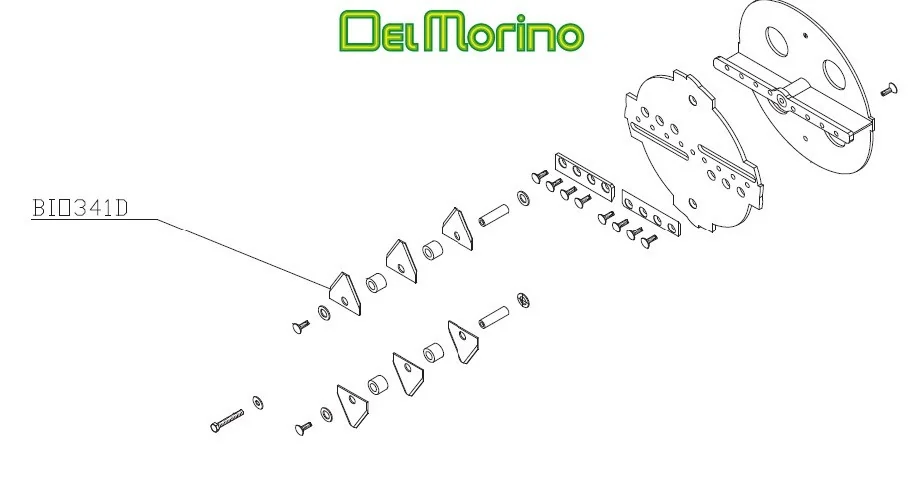Del Morino - BIO341D - Section
