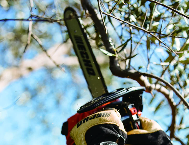 Echo - CS280TES25 - Top Handle Chainsaw 26.9cc, 25 cm Bar