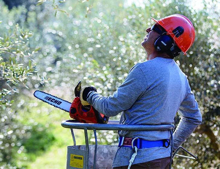 Echo - CS280TES30 - Pruning Chainsaw