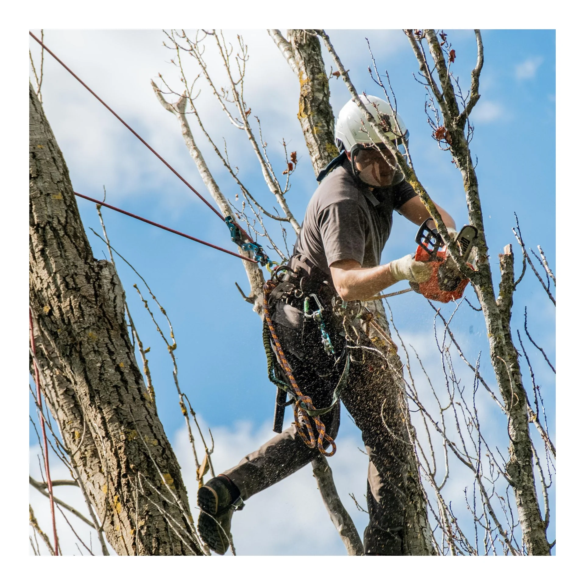 Echo - DCS3000T - Chainsaw 30CM Bare