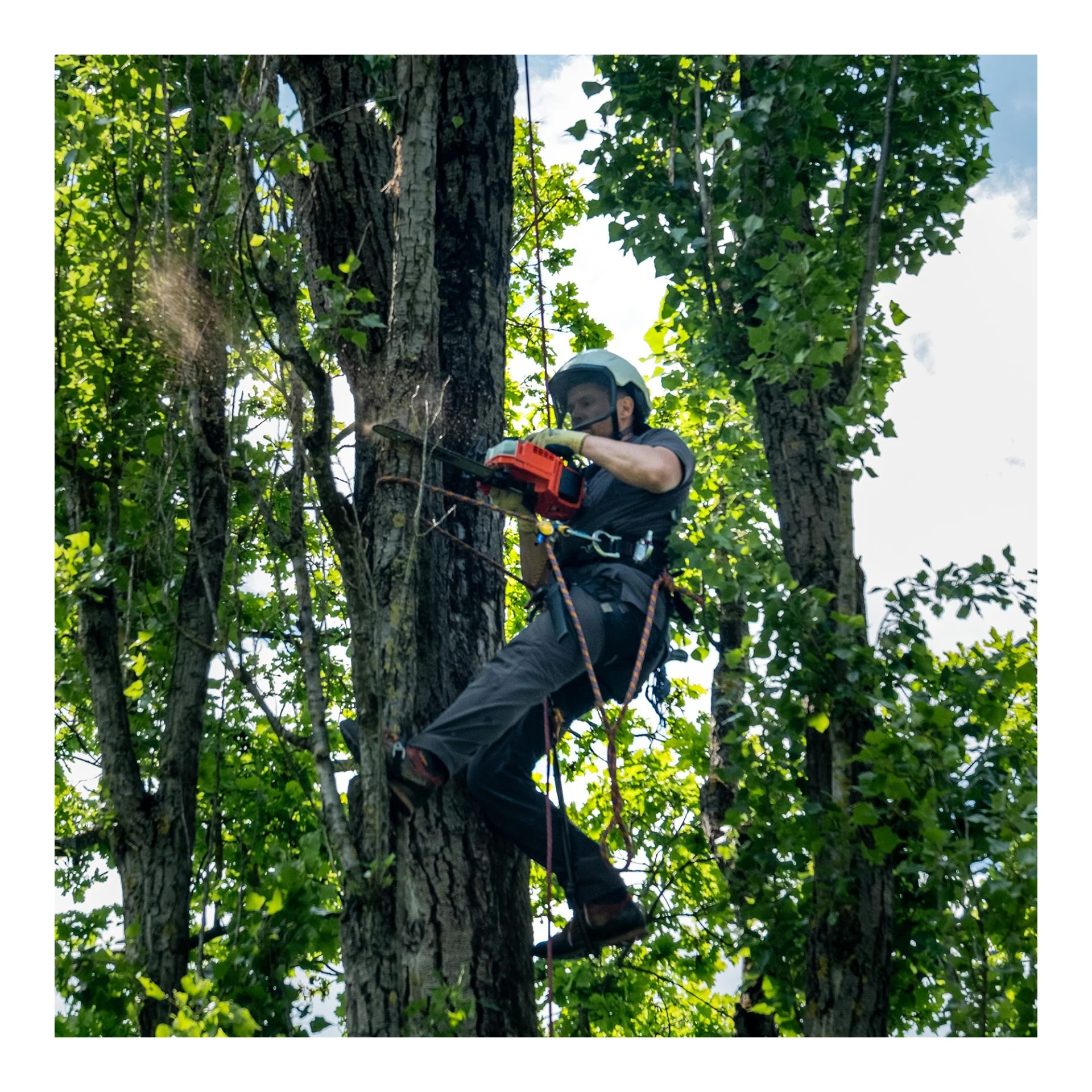 Echo - DCS3000T - Chainsaw 30CM Bare