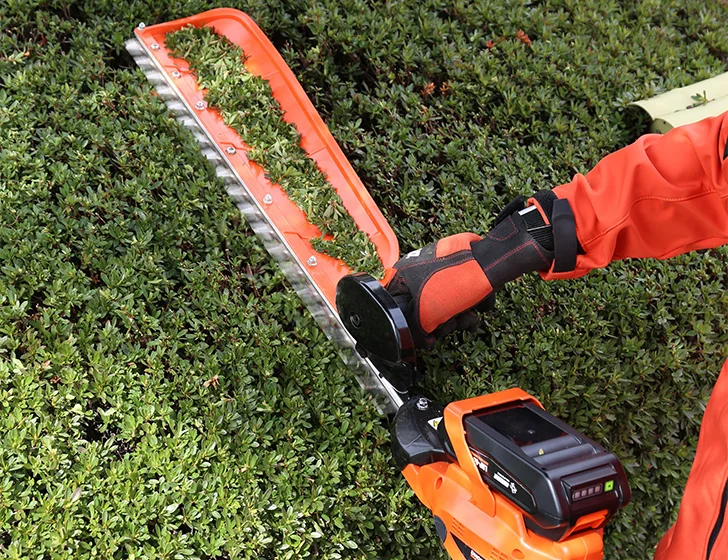 Echo - DHCS2800C1 - Hedge Trimmer 50V Charger + Battery 72CM Deflector
