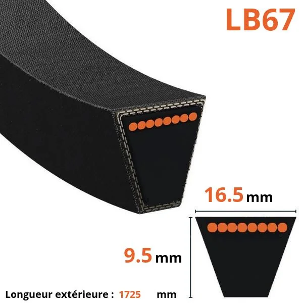 Mitsuboshi - LB67 - Belt