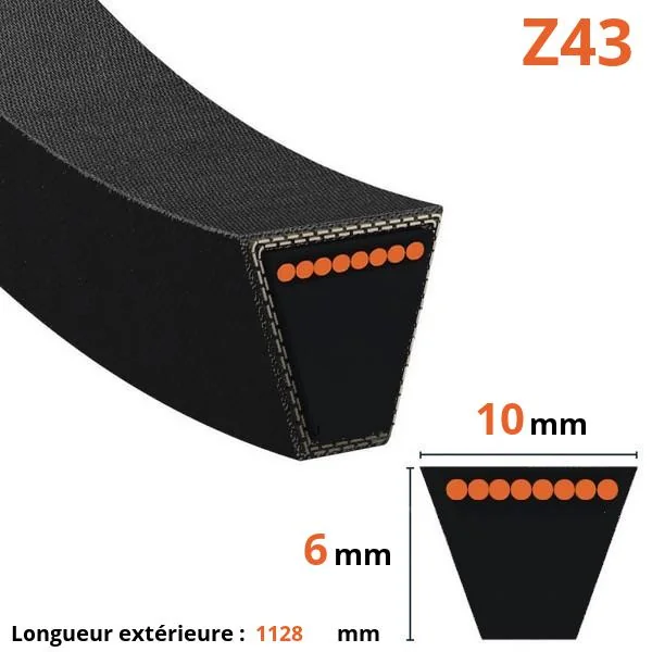 Mitsuboshi - Z43 - Belt