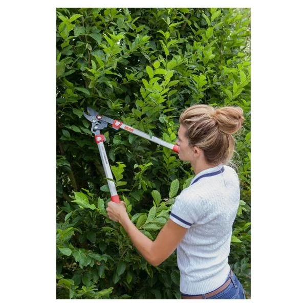 Outils Wolf - OS650 - Pruner Cut Free