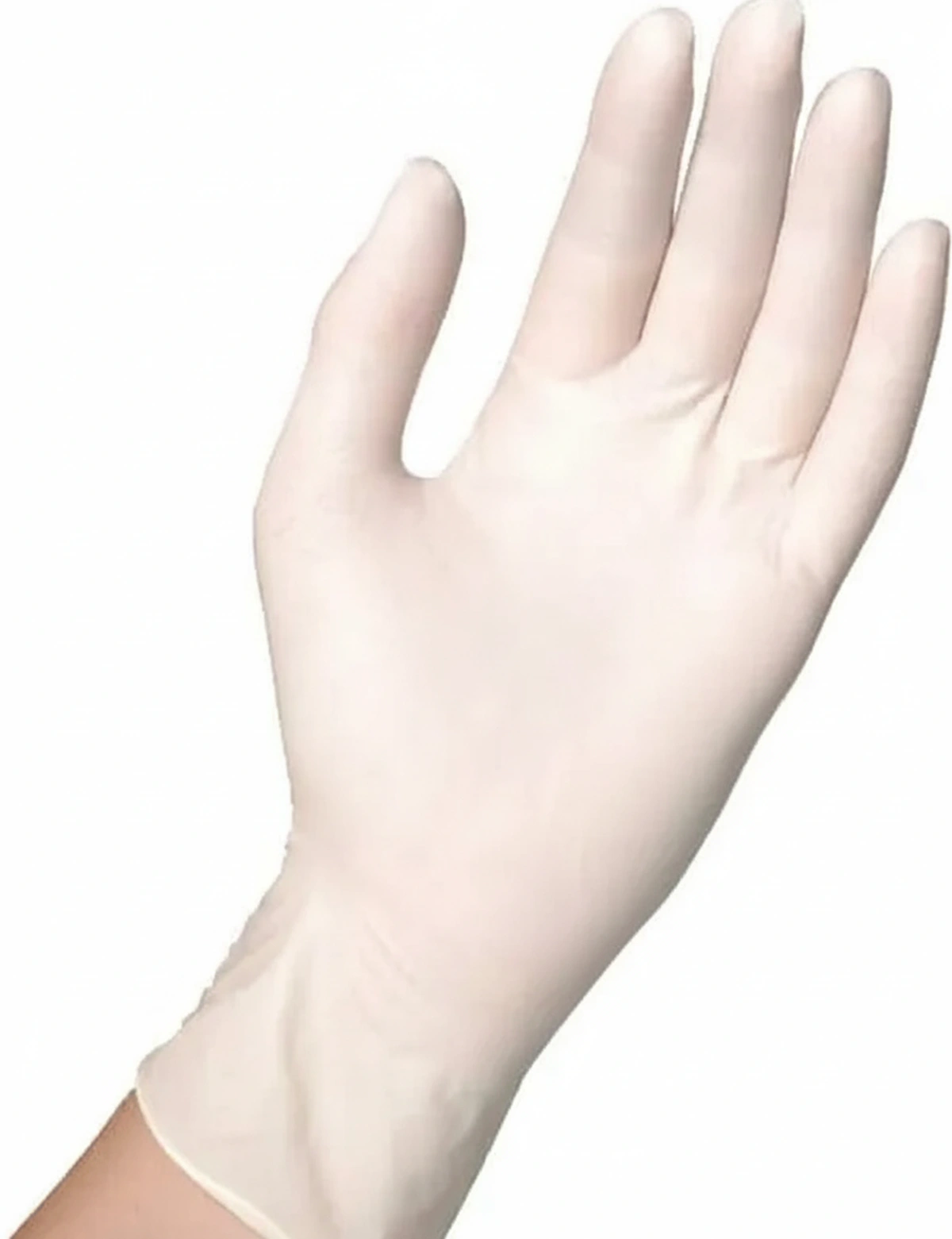 Kramp - 3000001293 - Gloves Transparent Disposable Powder Free Latex, Semperguard