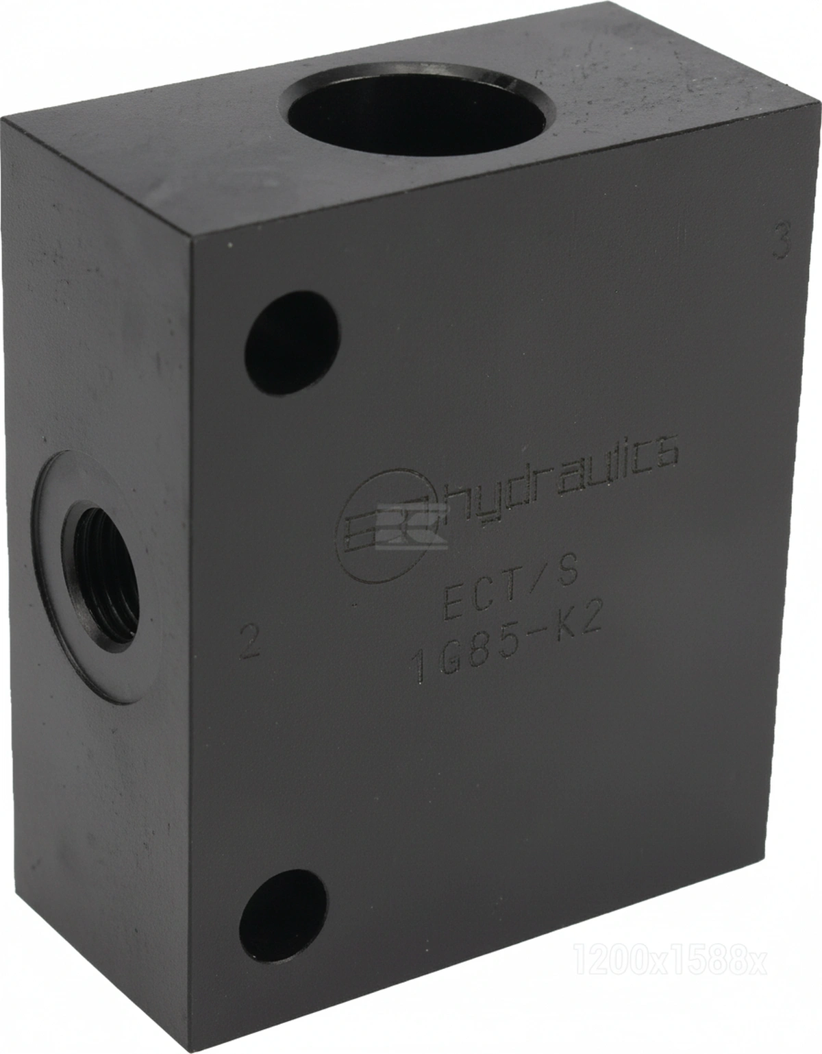 Kramp - PBDBLENHUIS - Body LS Amplifier ECT/S