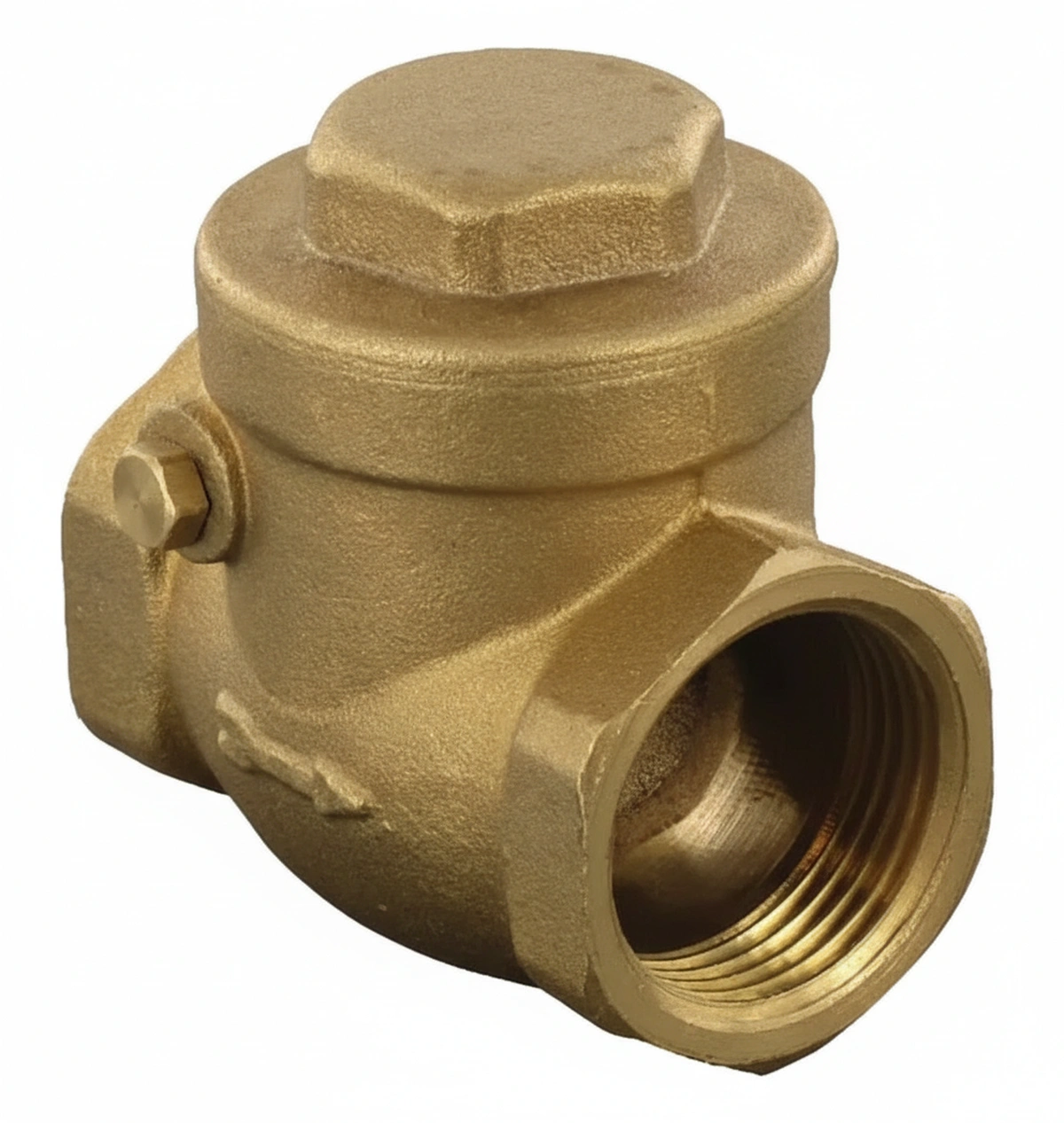 Kramp-wk51066 - Horizontal check valve 2"