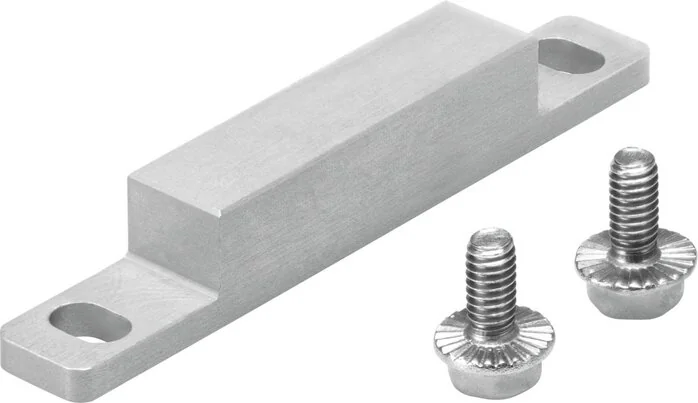 Festo - EAPM-L5-70-SLM-2417032 - Switch Flag