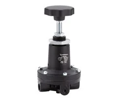 Norgren - 11-204-006 - Pressure Regulator 40-16 G1/4