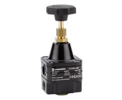 Norgren - 11-818-100 - Pressure Regulator 0.07-4 G1/4