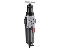 Norgren - B84G-4GT-QP1-RMN - Filter Regulator Excelon Plus