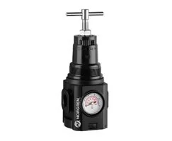 Norgren - HR84G-6GT-RFG - Regulator Excelon Plus Tre