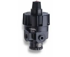 Norgren - R24-200-RNSG - Pressure Regulator 0,70-16 G1/4