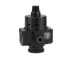 Norgren - R24-800-RNLG - Pressure Regulator 0,70-8 G1