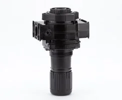 Norgren - R64G-2GK-RMN - Pressure Regulator 0,3-10 G1/4