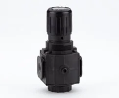 Norgren - R73G-2GK-RSN - Pressure Regulator 0,70-17 G1/4