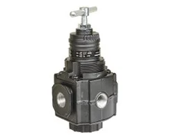 Norgren - R73G-4GT-RMN - Pressure Regulator 0,3-10 G1/2