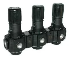 Norgren - R74M-6GK-RMN - Pressure Regulator Manifold