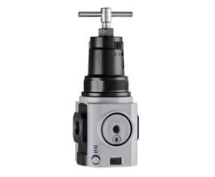 Norgren - R84G-3AT-RMN - Pressure Regulator Excelon Plus