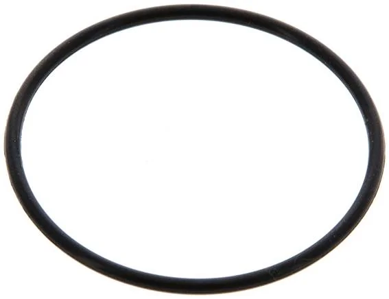 SMC - C2SFP-260S - O-Ring for Container